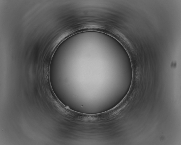 X0000090451321200708031208