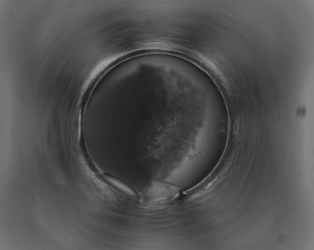 X0000090451323200708031208