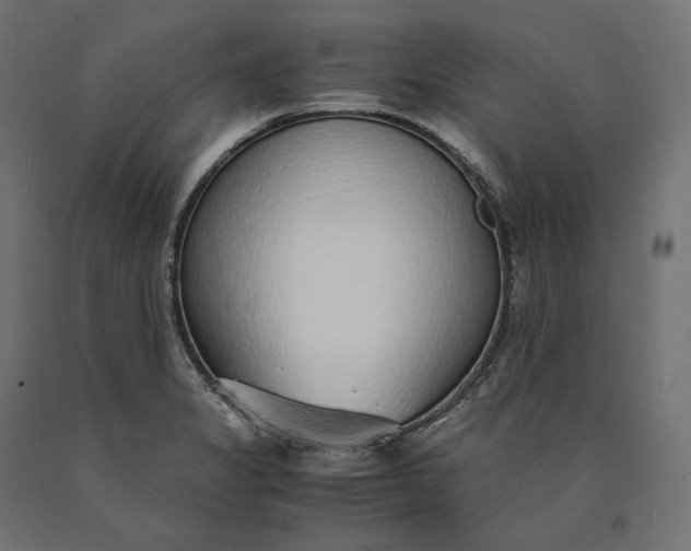 X0000090451325200708031208