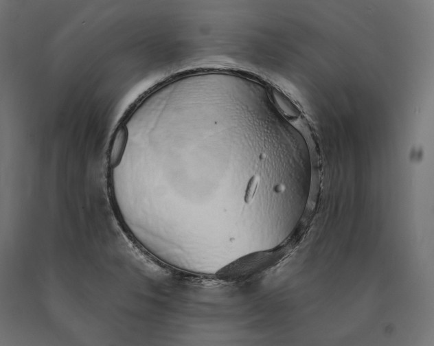 X0000090451326200708031208