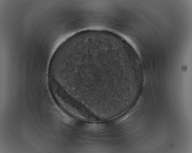 X0000090451327200708031208