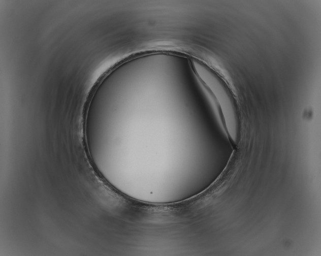 X0000090451328200708031208