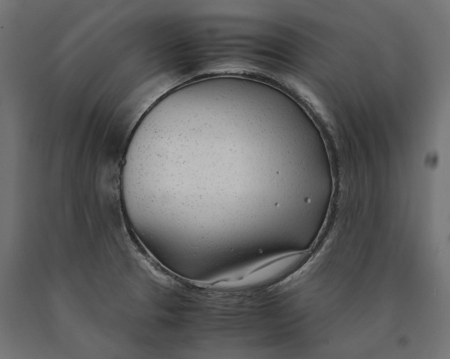 X0000090451329200708031208