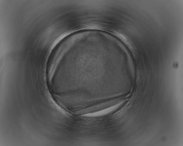 X0000090451331200708031208