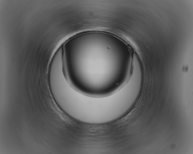 X0000090451332200708031208