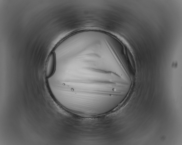 X0000090451333200708031208