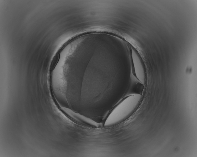 X0000090451334200708031208