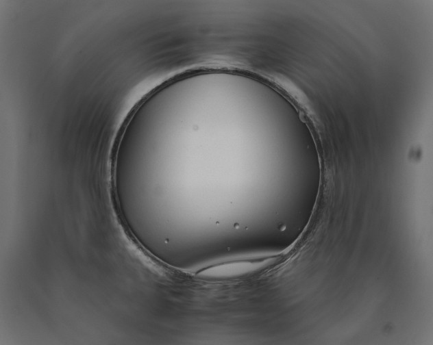 X0000090451335200708031208