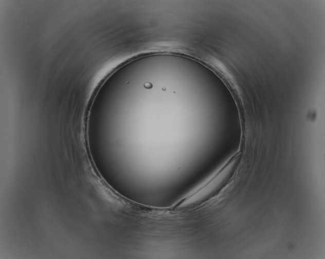 X0000090451336200708031208