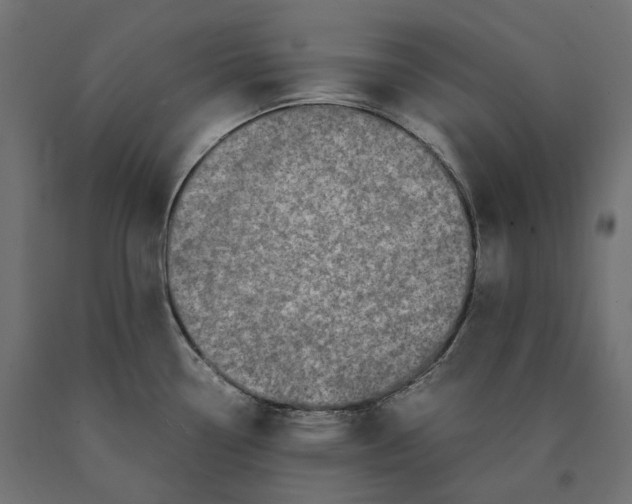 X0000090451338200708031208