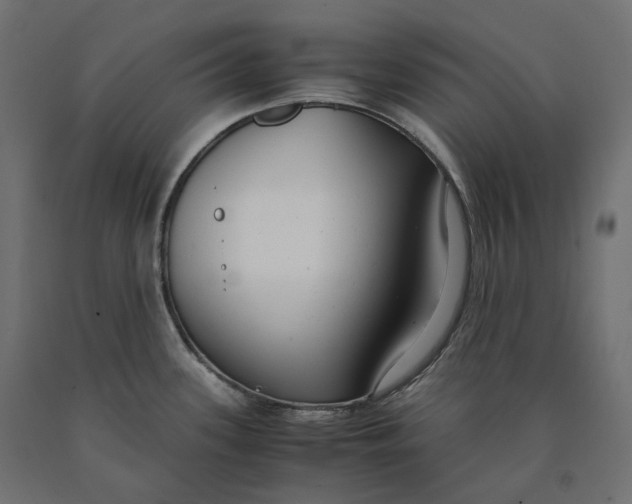 X0000090451339200708031208