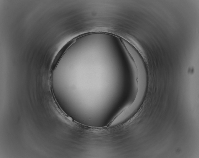 X0000090451340200708031208