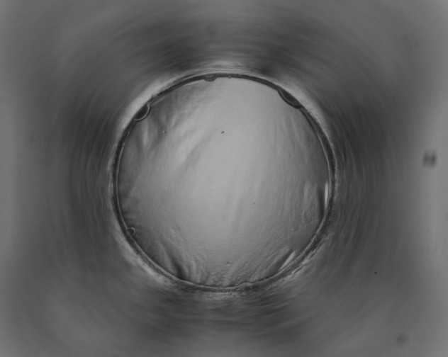 X0000090451341200708031208