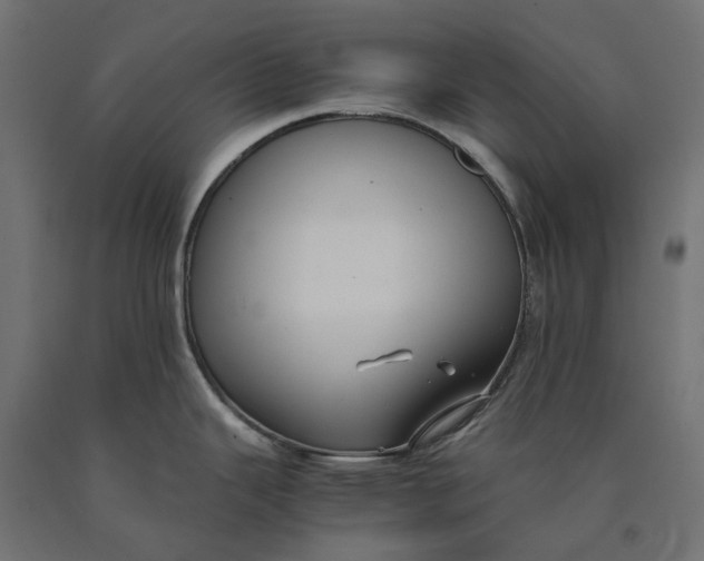 X0000090451343200708031208