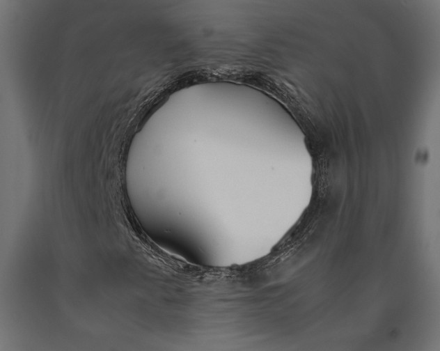 X0000090451345200708031207