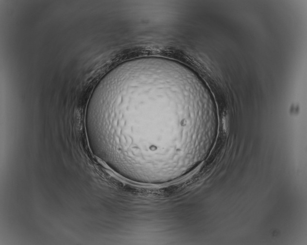 X0000090451347200708031207