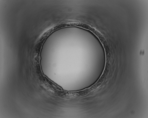 X0000090451351200708031207