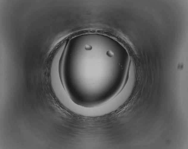 X0000090451352200708031207