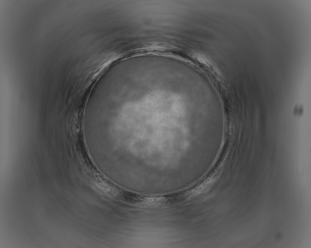 X0000090451353200708031207