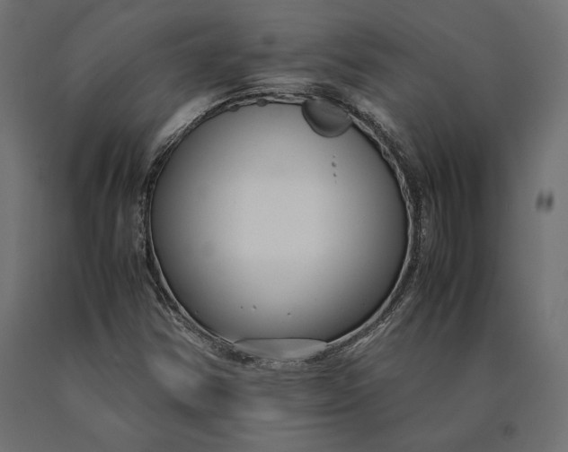 X0000090451354200708031207