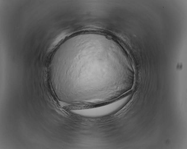 X0000090451355200708031207