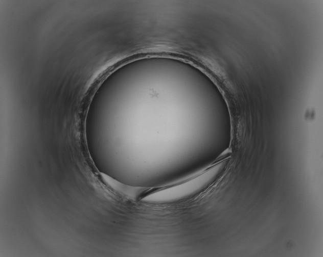 X0000090451356200708031207