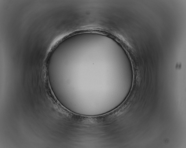 X0000090451358200708031207