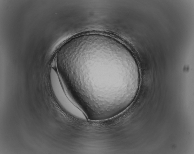 X0000090451359200708031207