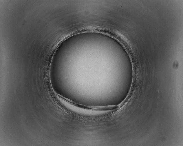 X0000090451361200708031207