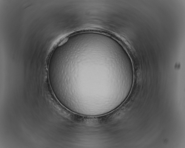 X0000090451363200708031207