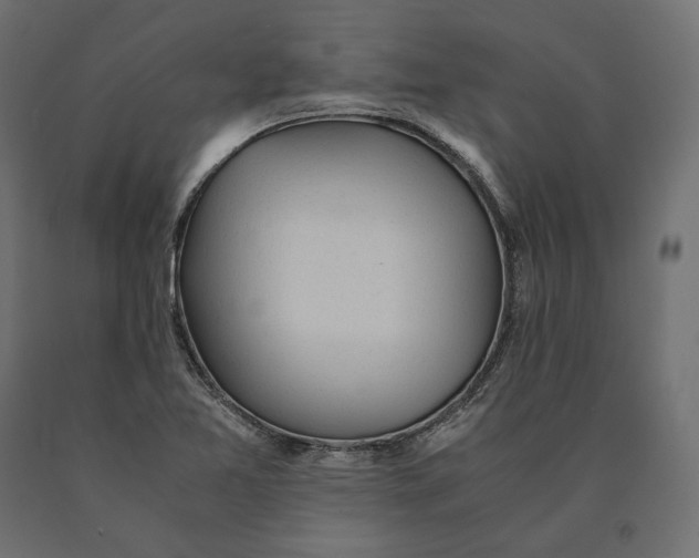 X0000090451365200708031207