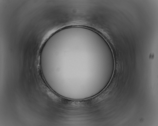 X0000090451366200708031207