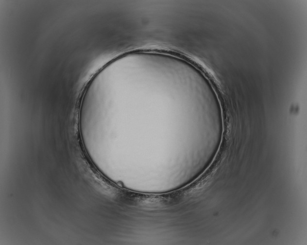 X0000090451367200708031207