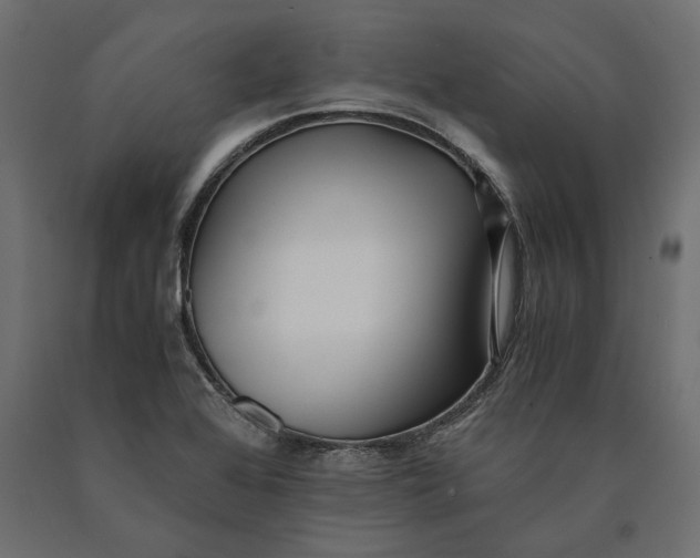 X0000090451368200708031207