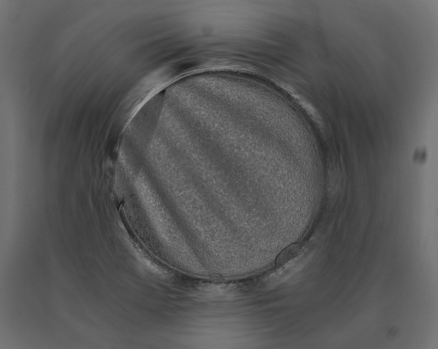 X0000090451369200708031207