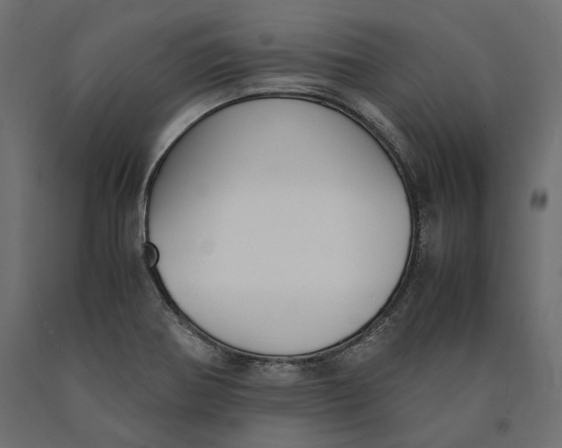 X0000090451370200708031207