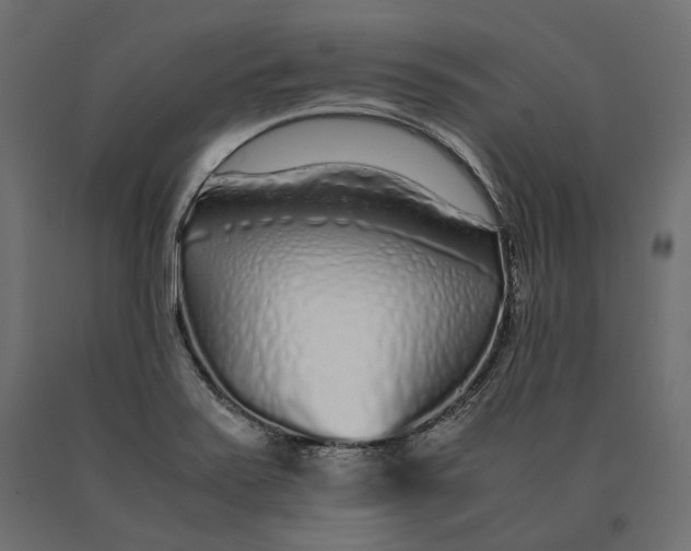 X0000090451371200708031207