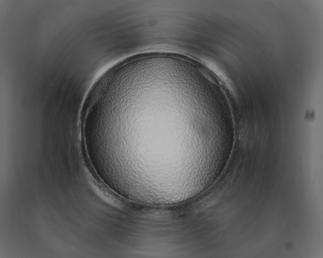 X0000090451372200708031207