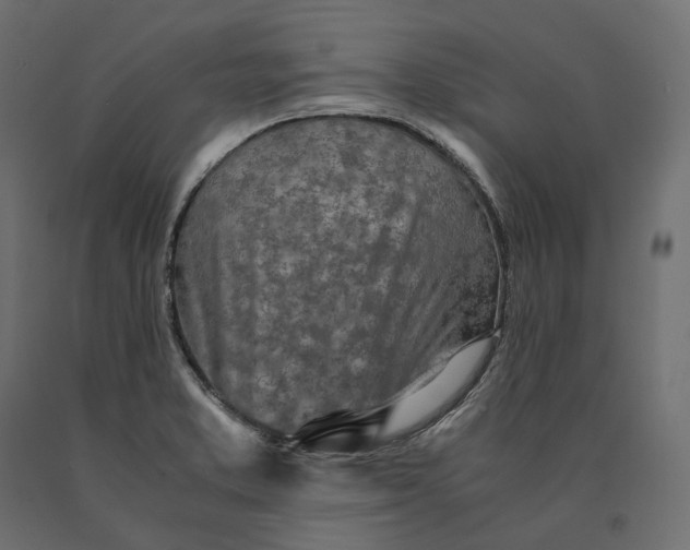 X0000090451373200708031207