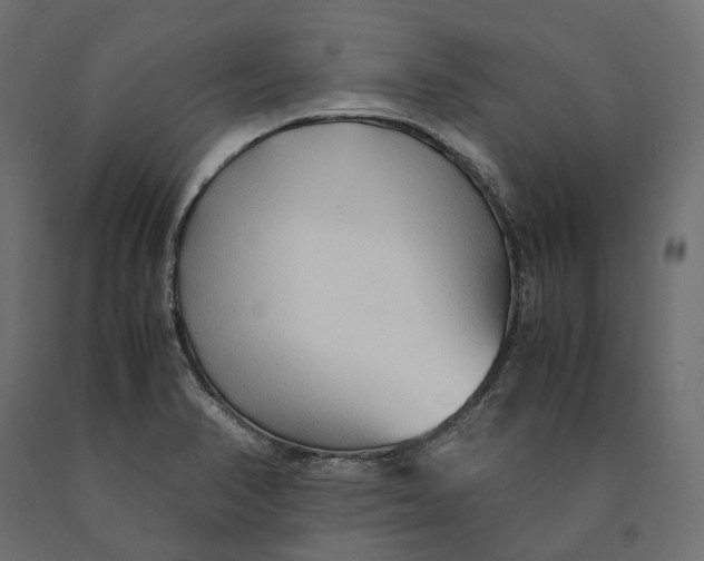 X0000090451374200708031207