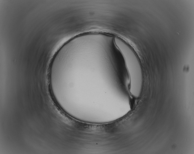 X0000090451375200708031207