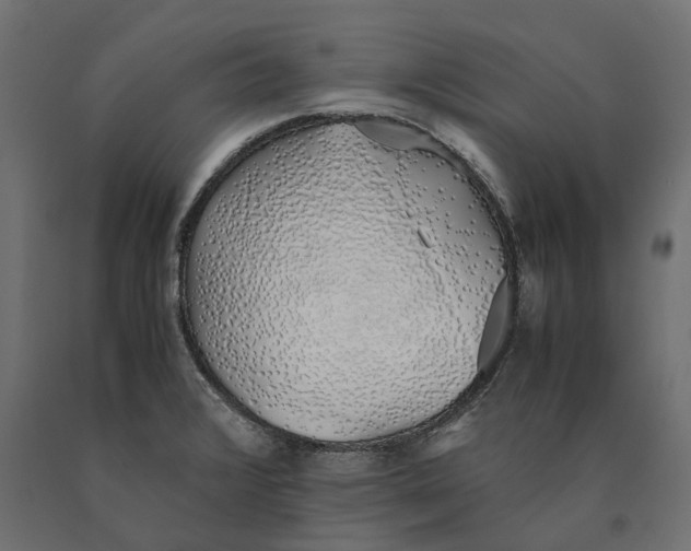 X0000090451376200708031207