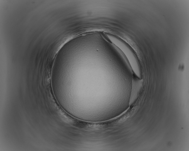 X0000090451377200708031207