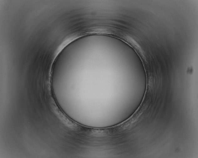 X0000090451378200708031207