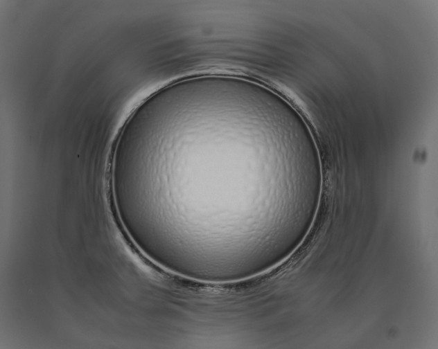 X0000090451379200708031207