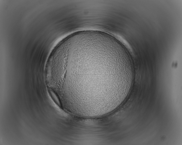 X0000090451380200708031207