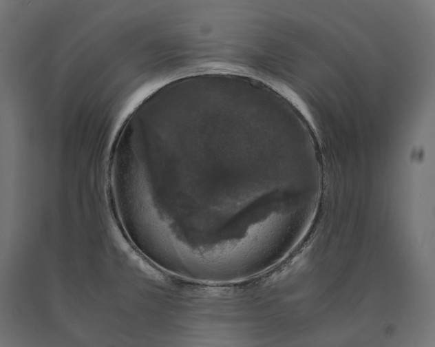 X0000090451381200708031207