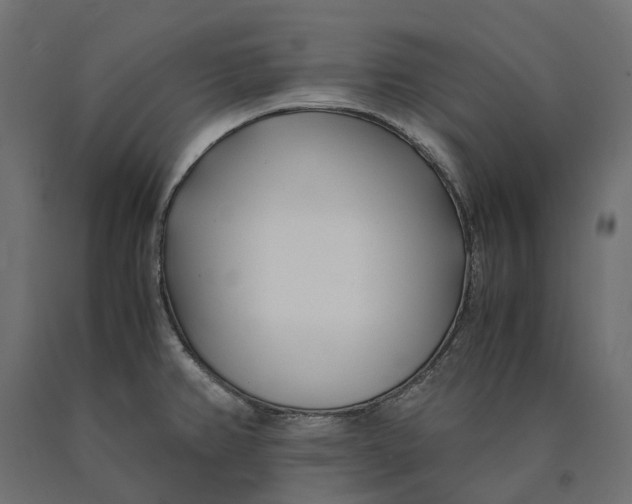 X0000090451382200708031207