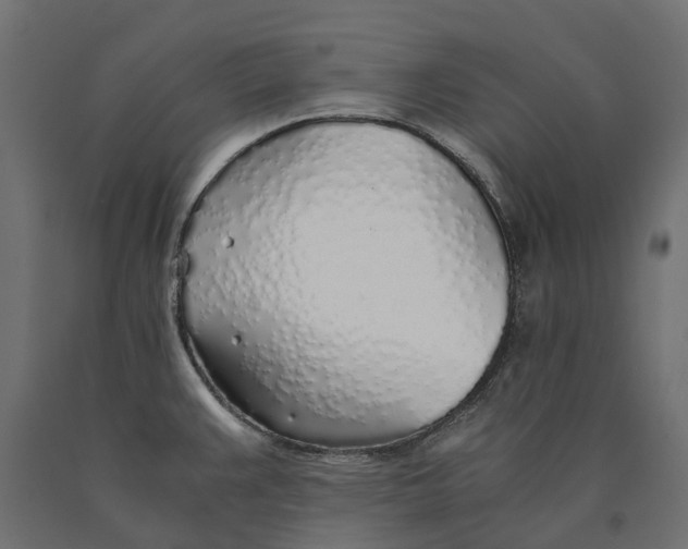 X0000090451383200708031207