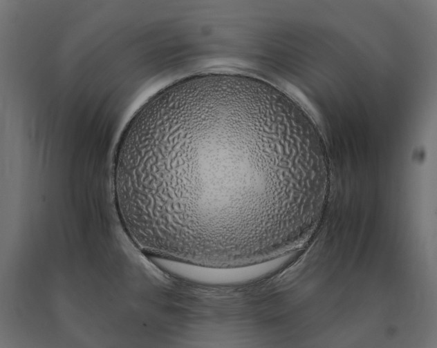 X0000090451384200708031207